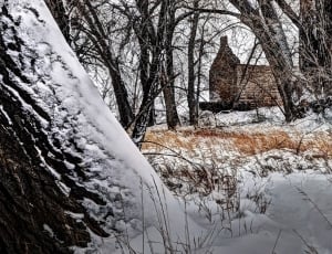 Robert Strauss, Cabin, Fort Collins, snow, winter thumbnail