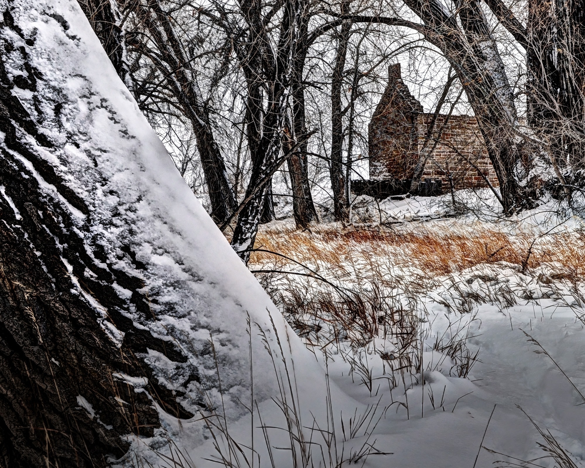Robert Strauss, Cabin, Fort Collins, snow, winter