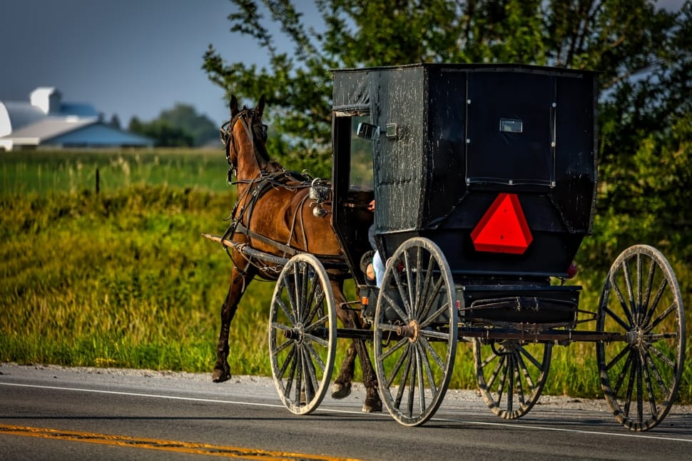 black wooden horse carriage preview