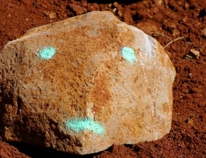 brown rock with green stained lines on soil thumbnail