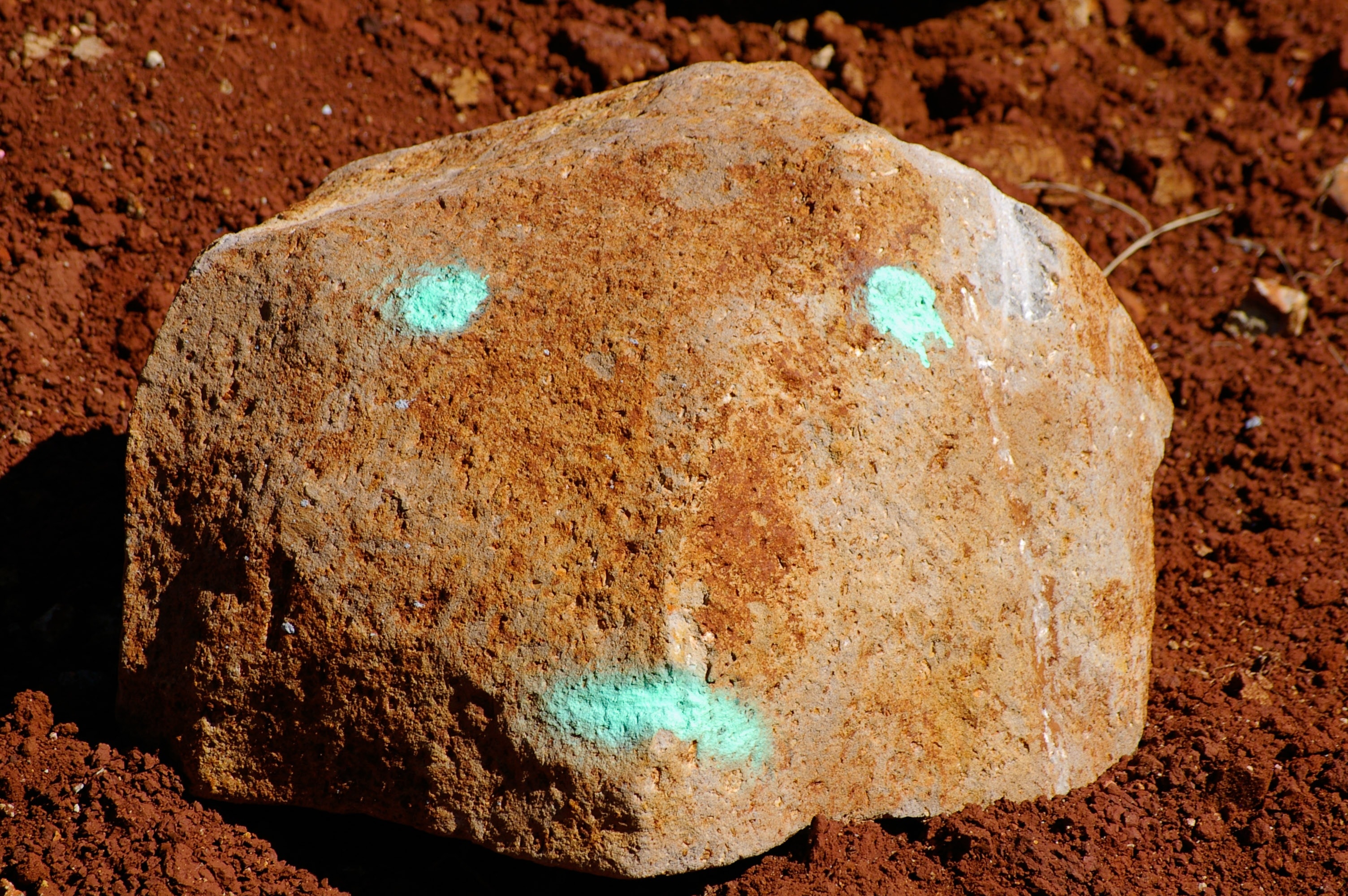 brown rock with green stained lines on soil