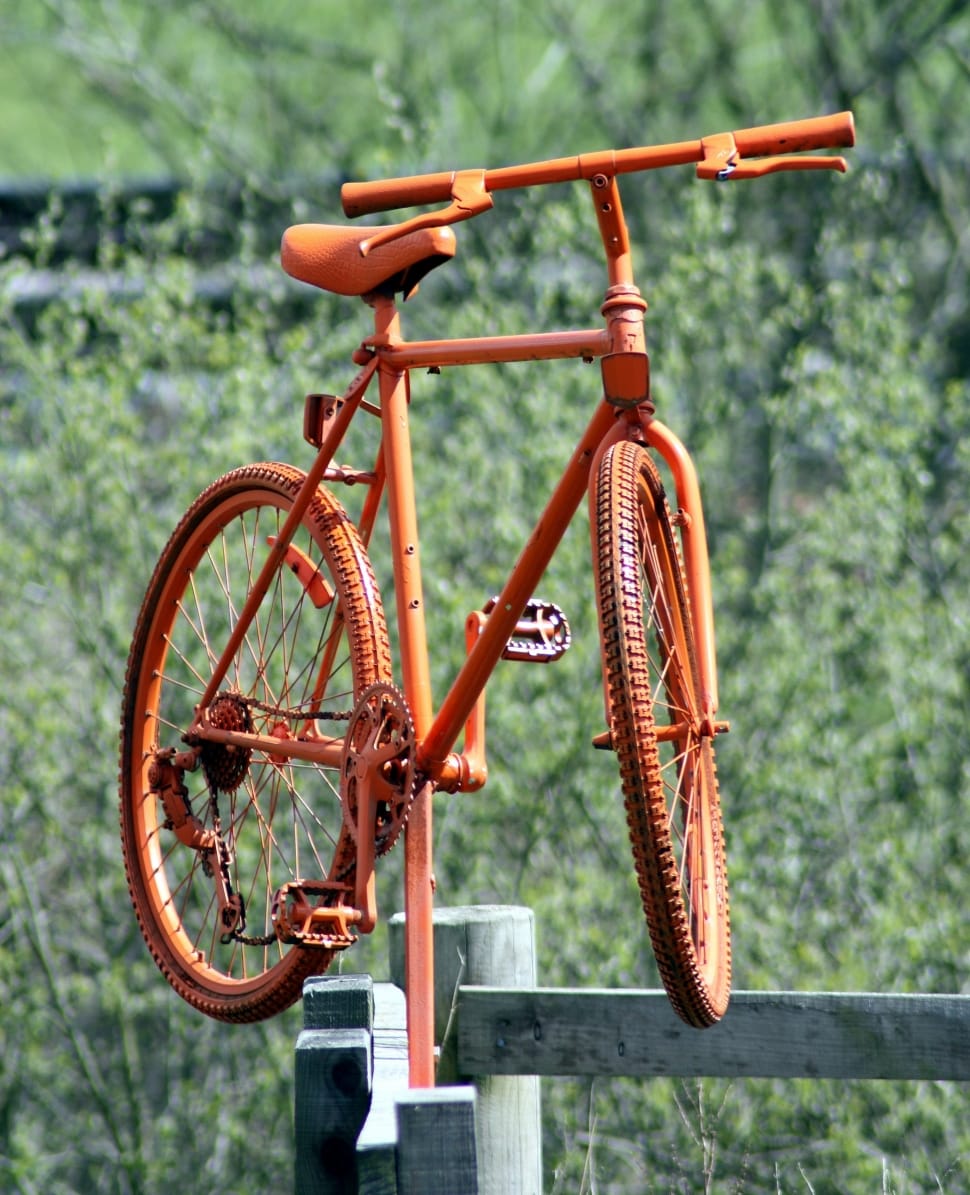 orange mountain bike preview