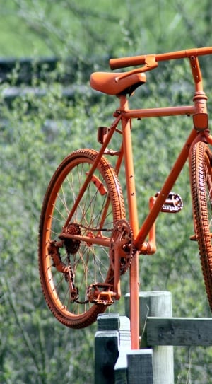 orange mountain bike thumbnail