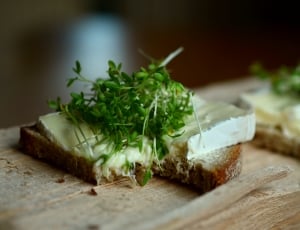 Cheese Bread, Bread, Herbs, Cress, food and drink, food thumbnail