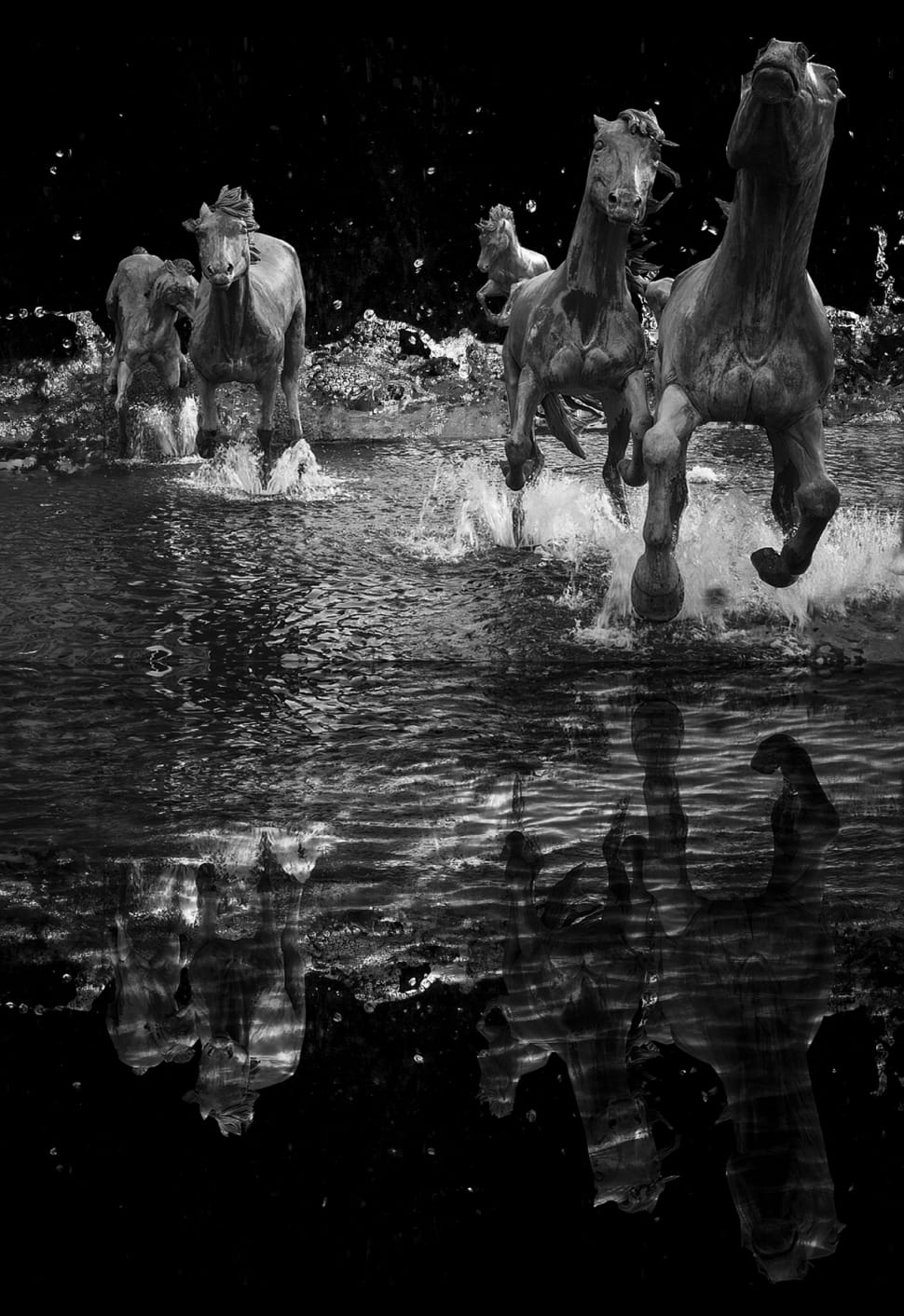 gray scale photo of horse running on water preview