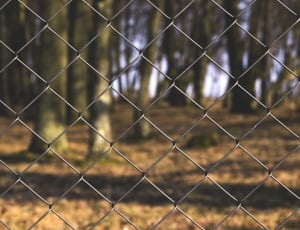 gray steel cyclone wire fence thumbnail