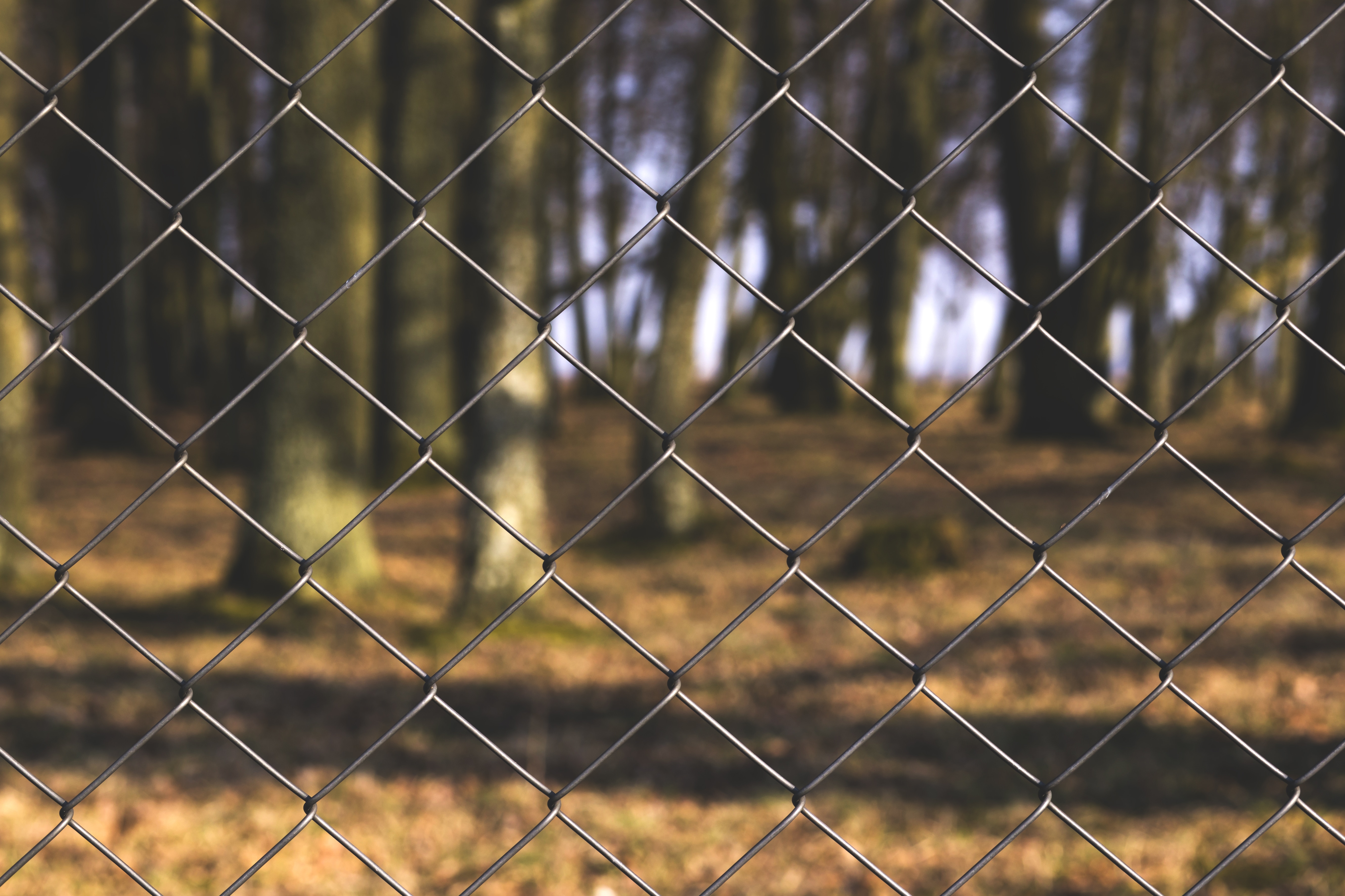 gray steel cyclone wire fence