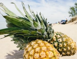 2 brown and green pineapple thumbnail