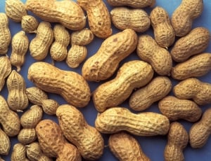 brown peanuts thumbnail