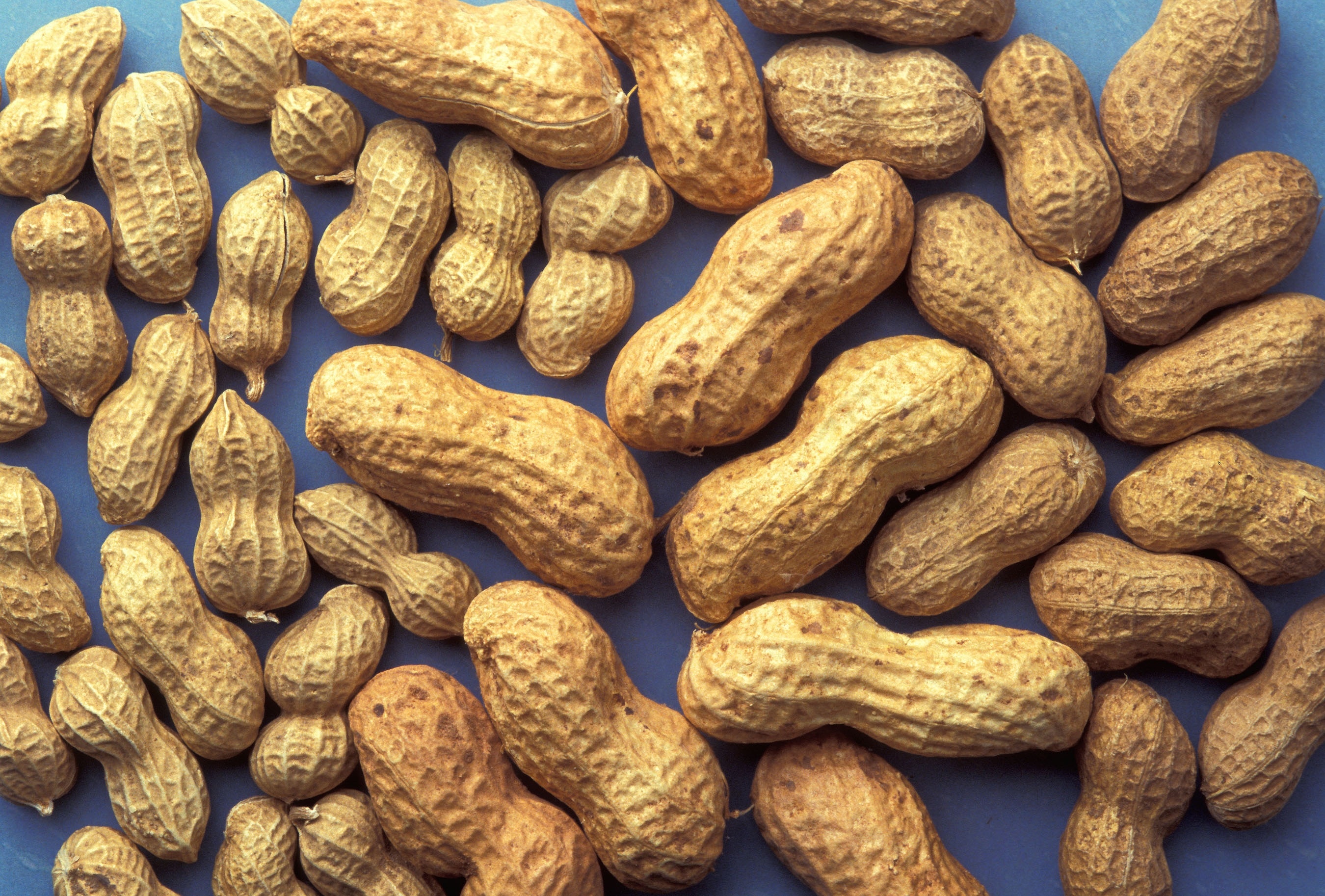 brown peanuts
