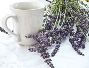 purple lavender beside ceramic mug thumbnail