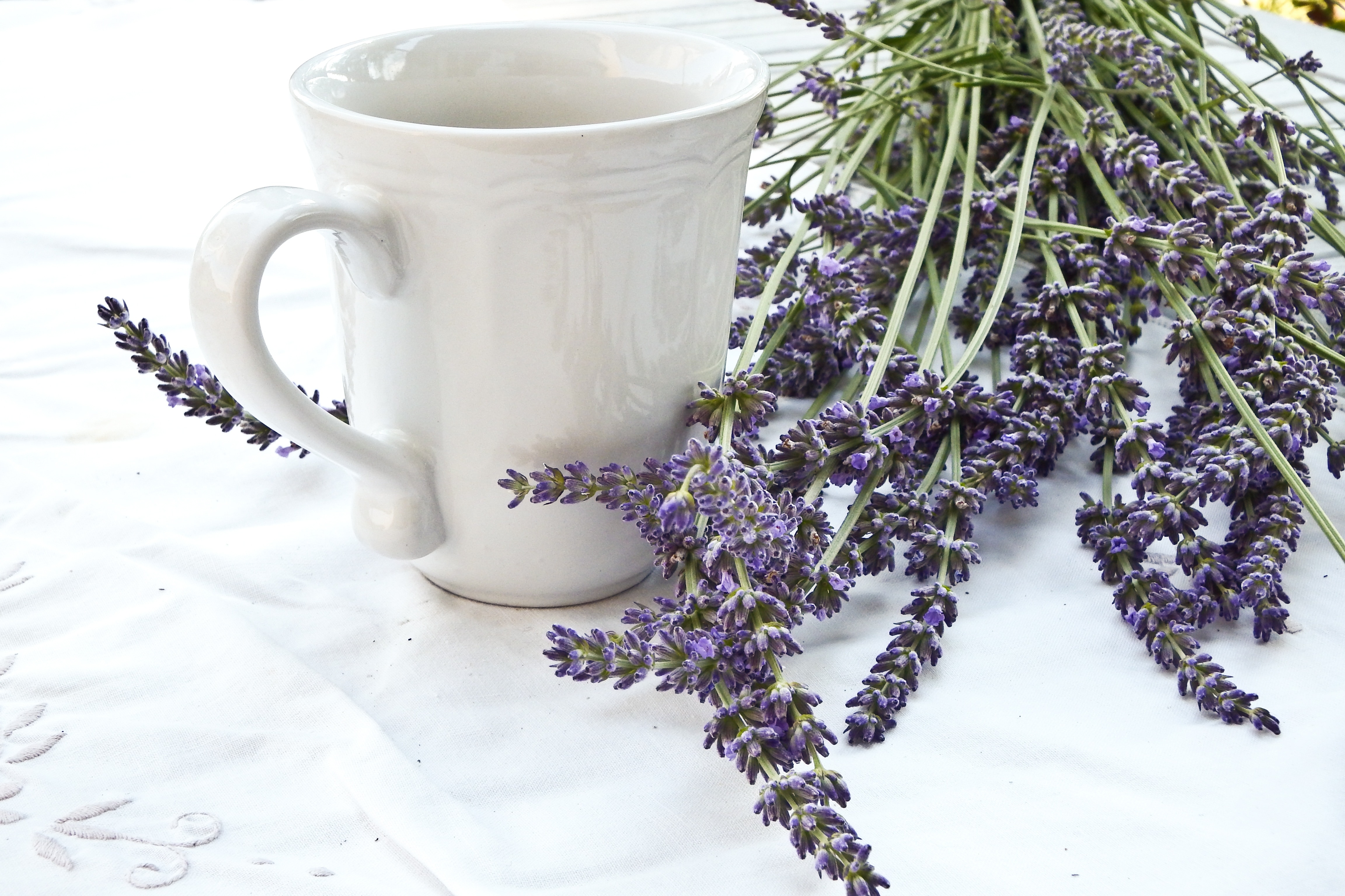purple lavender beside ceramic mug