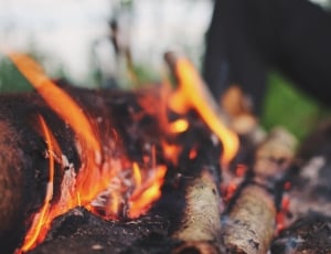 bonfire, fire, flames, wood, heat - temperature, flame thumbnail