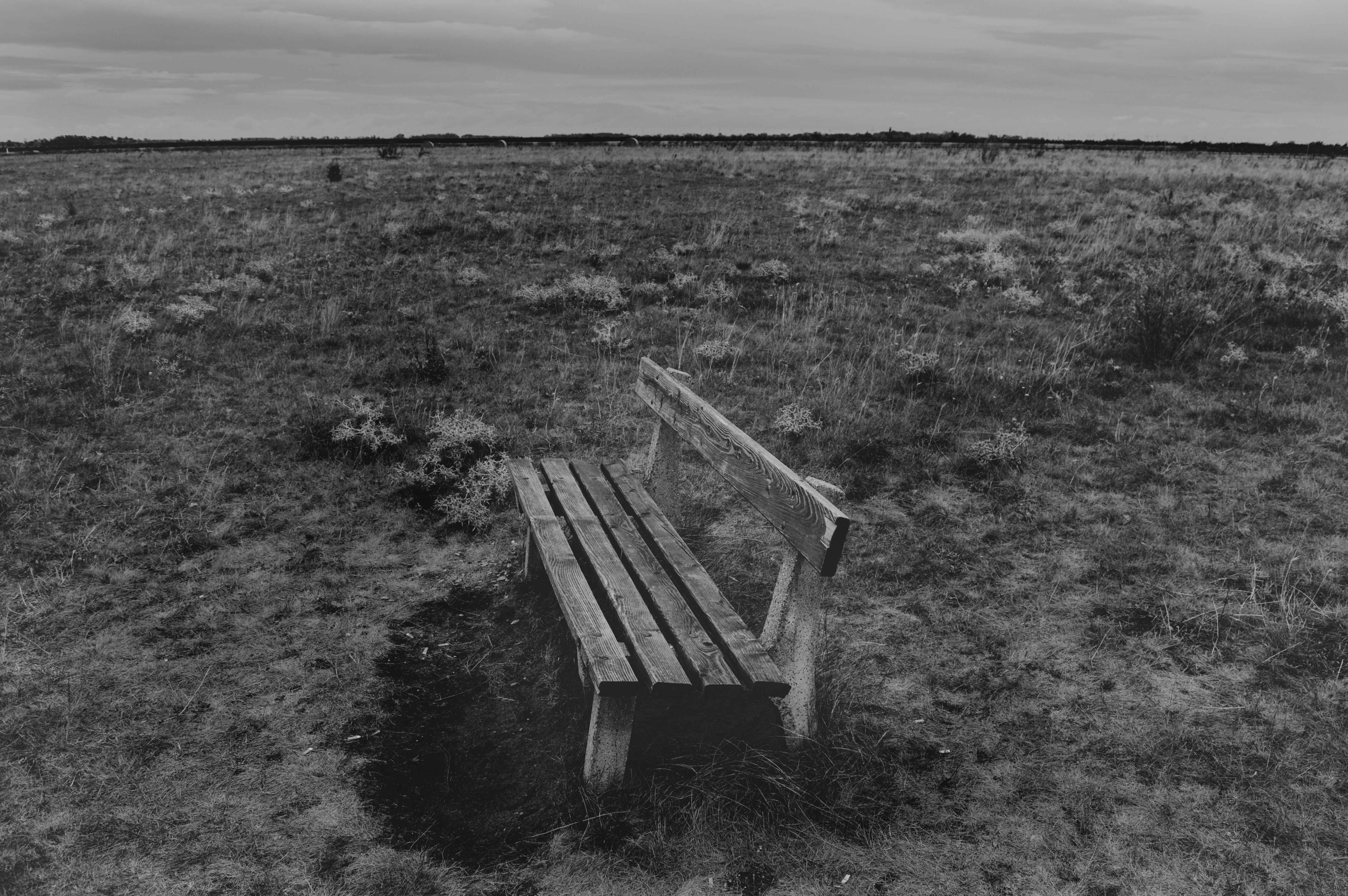 grayscale photography of wooden bench