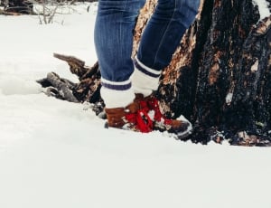 person standing beside tree during winter thumbnail