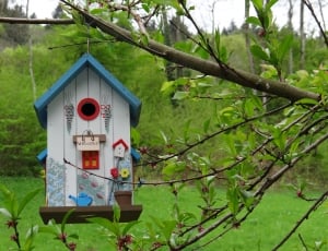 blue, white, and brown wooden bird house hanging on a tree branch thumbnail