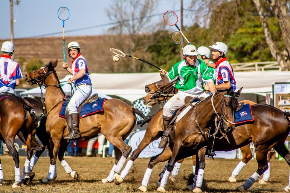 Usa, Sport, Polo, Horse, Polo Cross, adult, riding preview