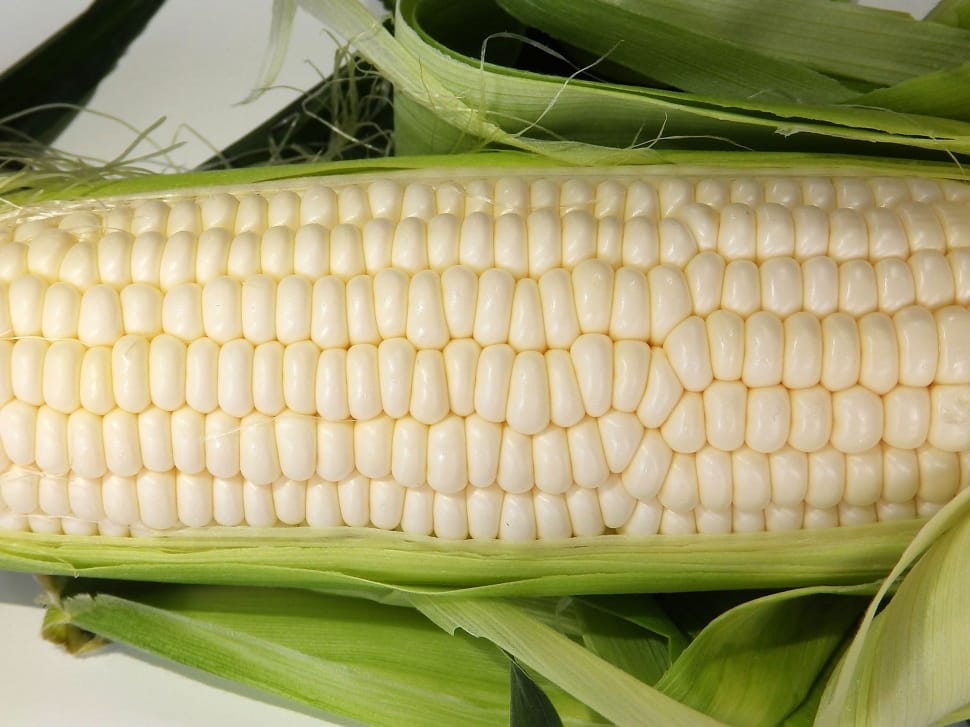 Corn, Cone, Food, corn on the cob, healthy eating preview