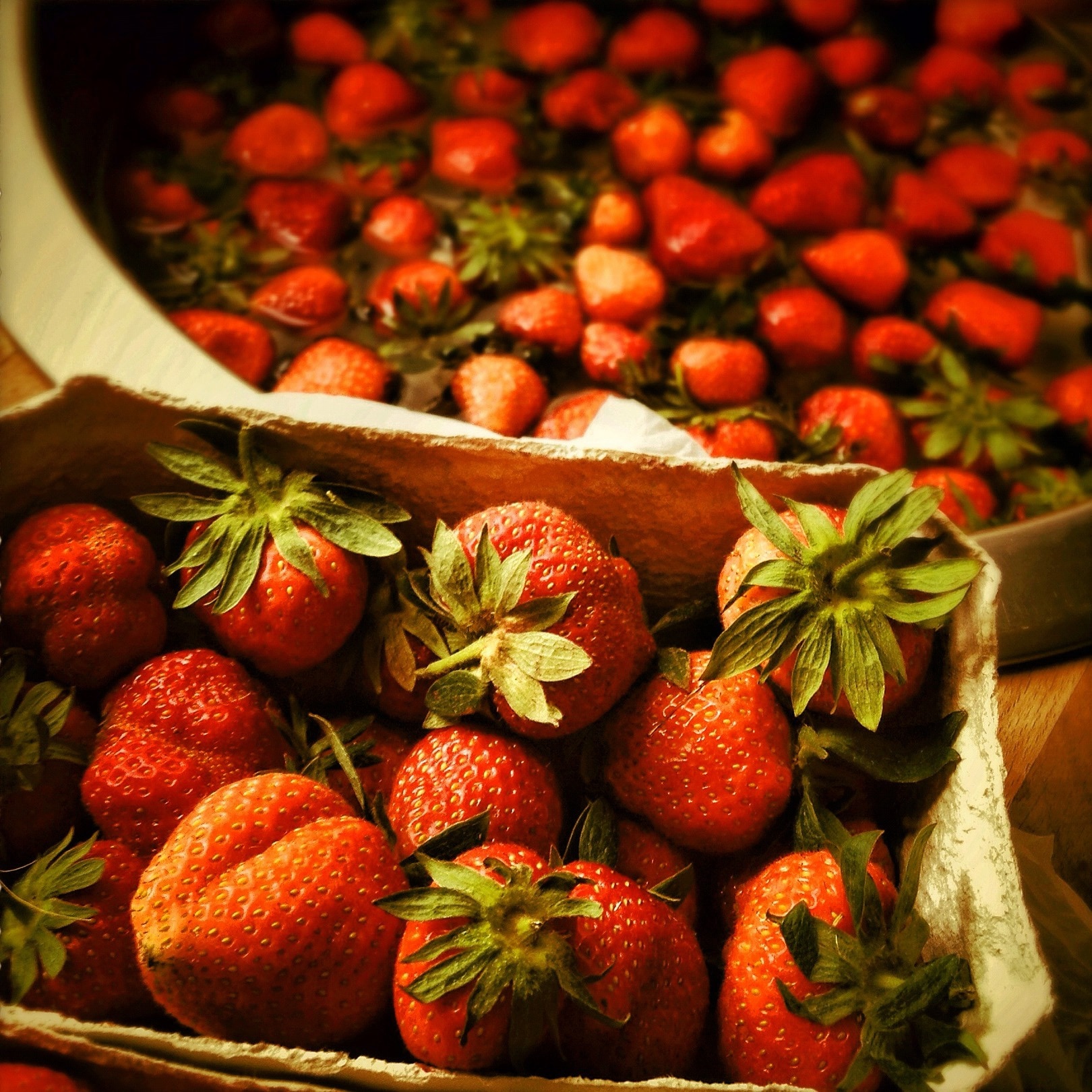 strawberry in boxes