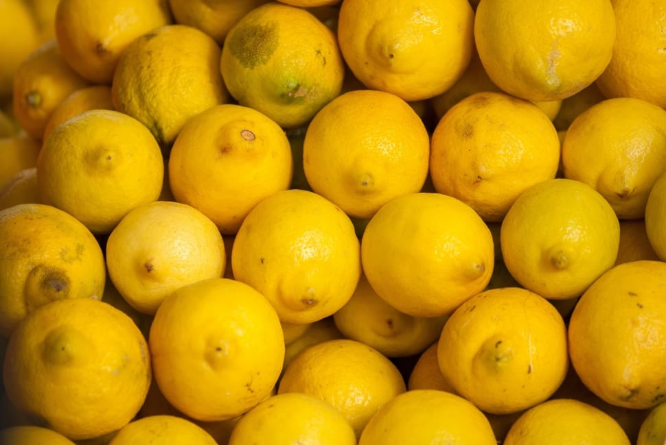 lemon fruits preview
