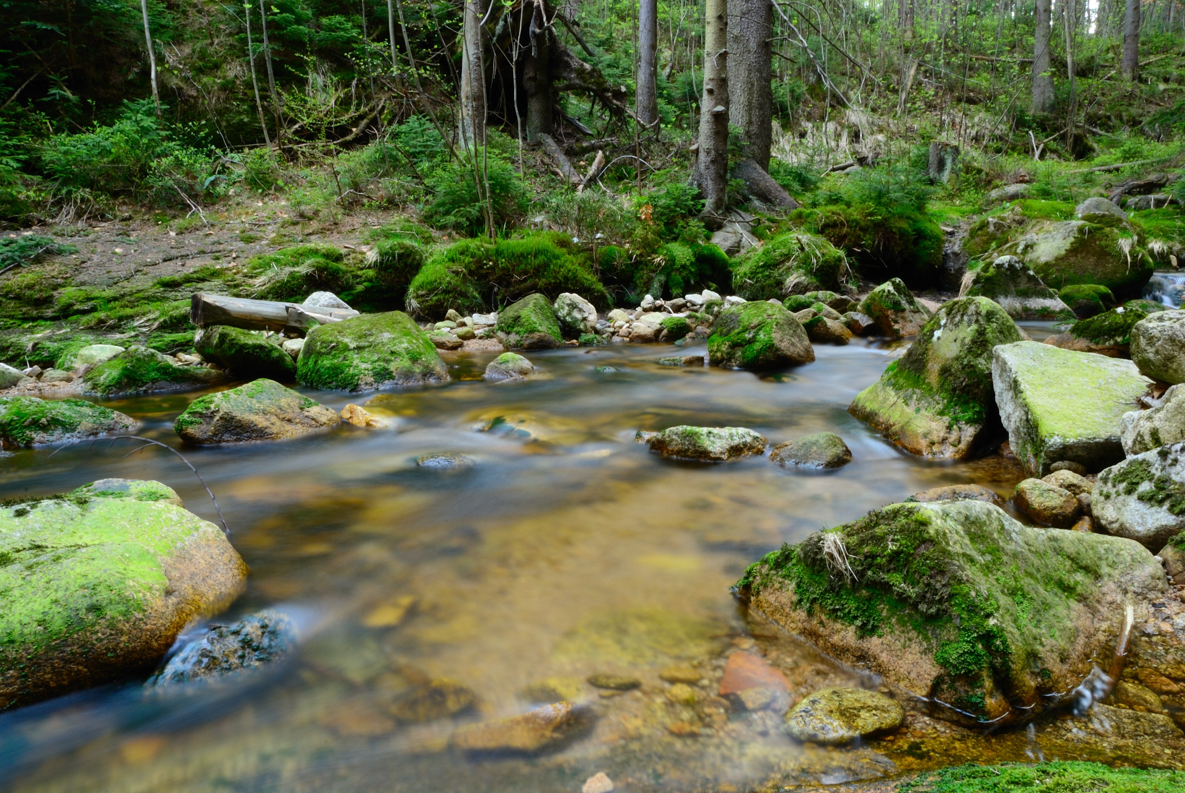 Creek traducción