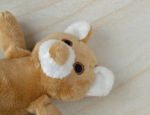 Small Stuffed Bear, Teddy, Teddy Bear, indoors, toy thumbnail
