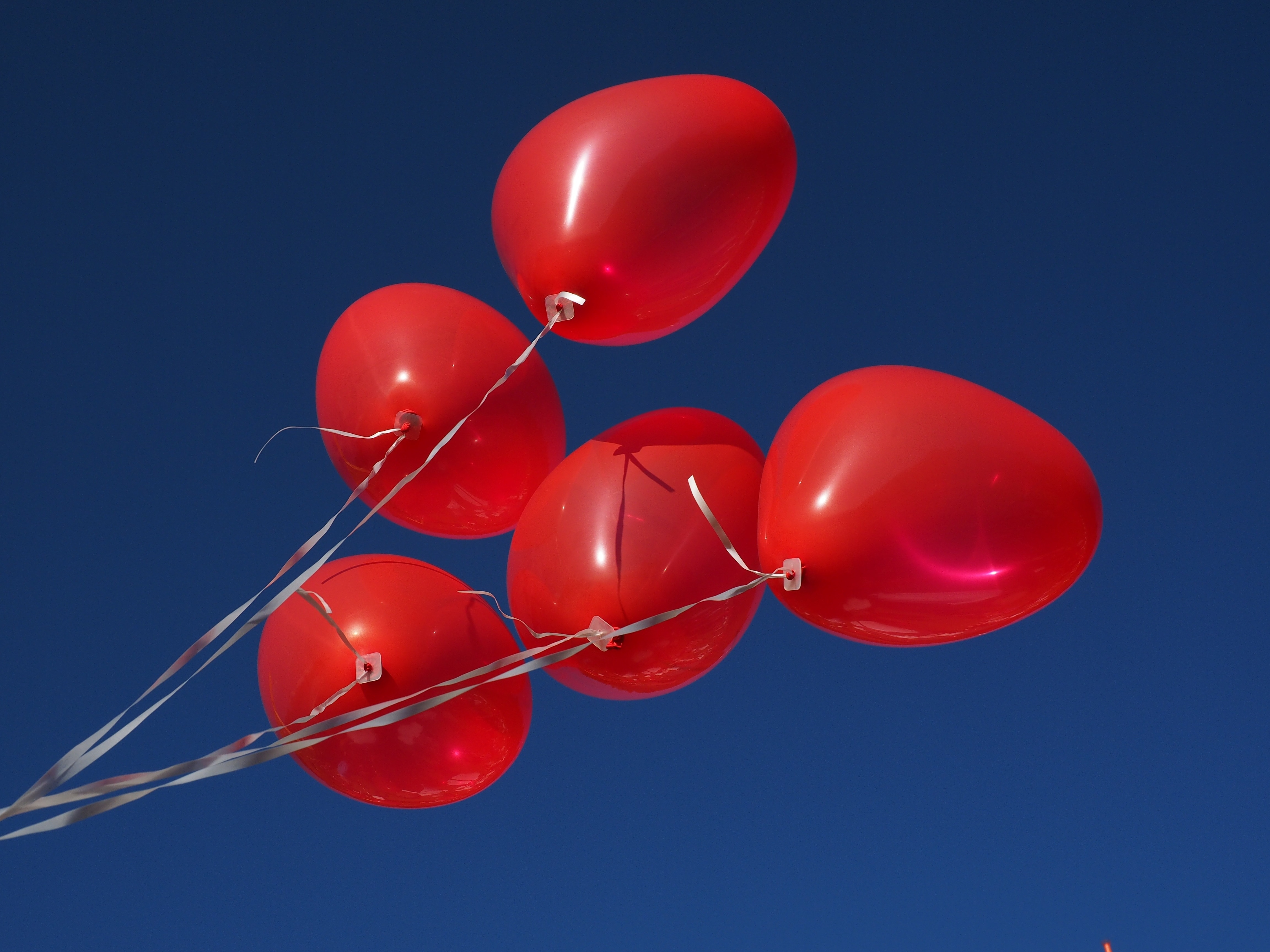 Видео красных шаров. Воздушный шарик. Шарики надувные. Красный воздушный шарик. Красные шары в небе.