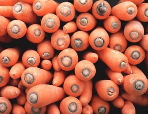 orange carrot lot thumbnail