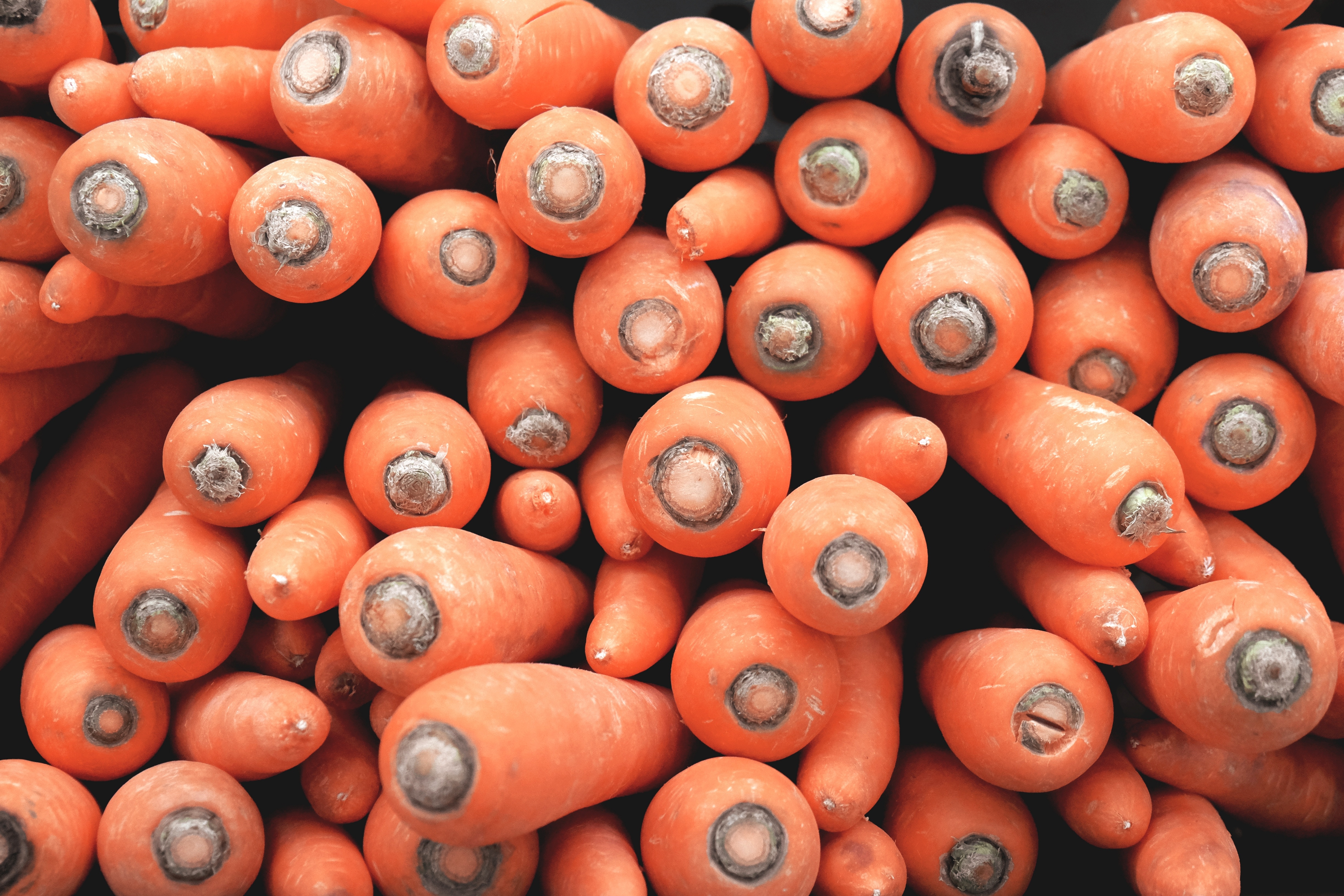 orange carrot lot