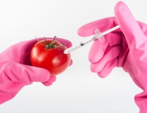 person injecting liquid on red tomato thumbnail