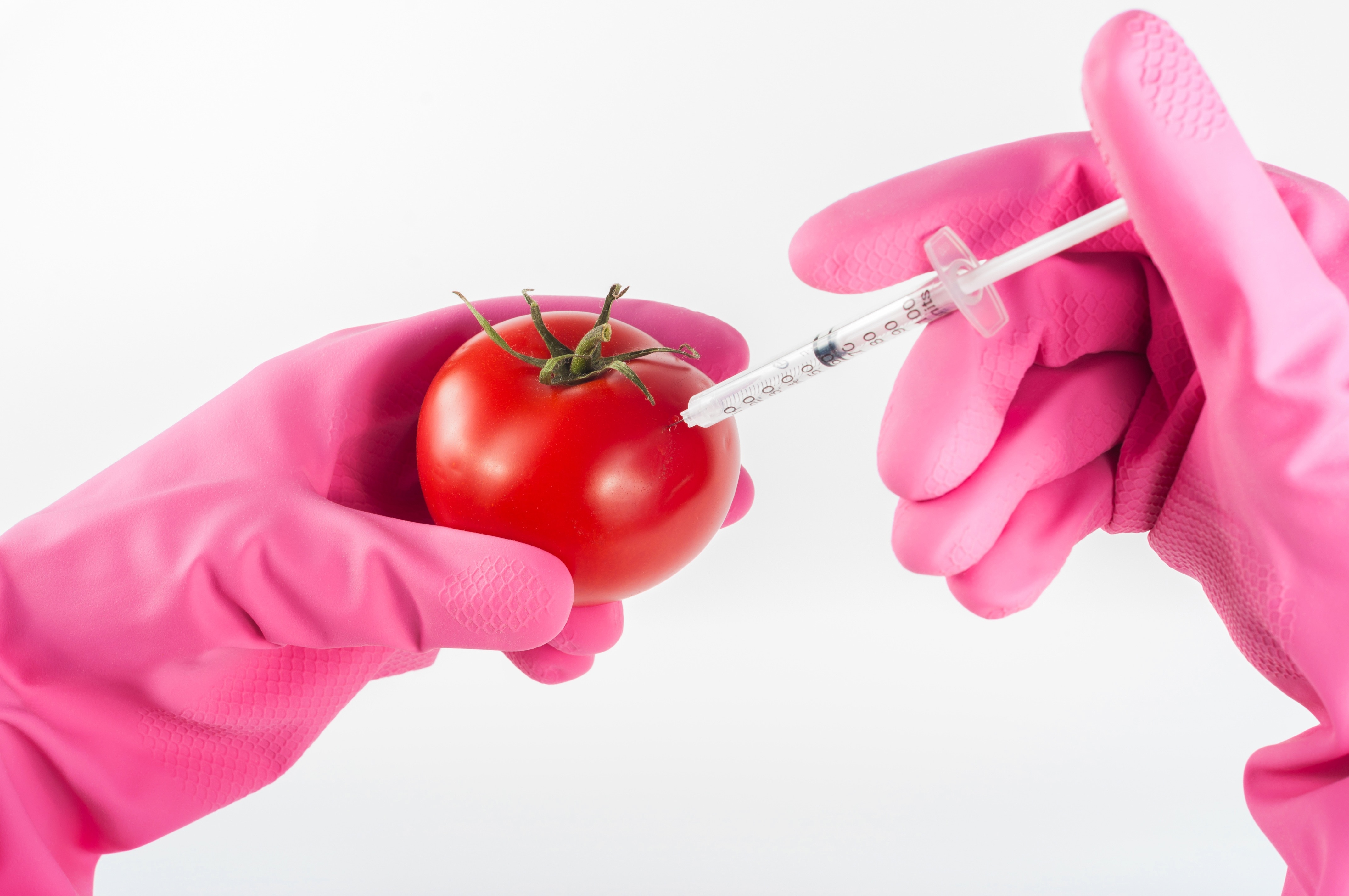 person injecting liquid on red tomato