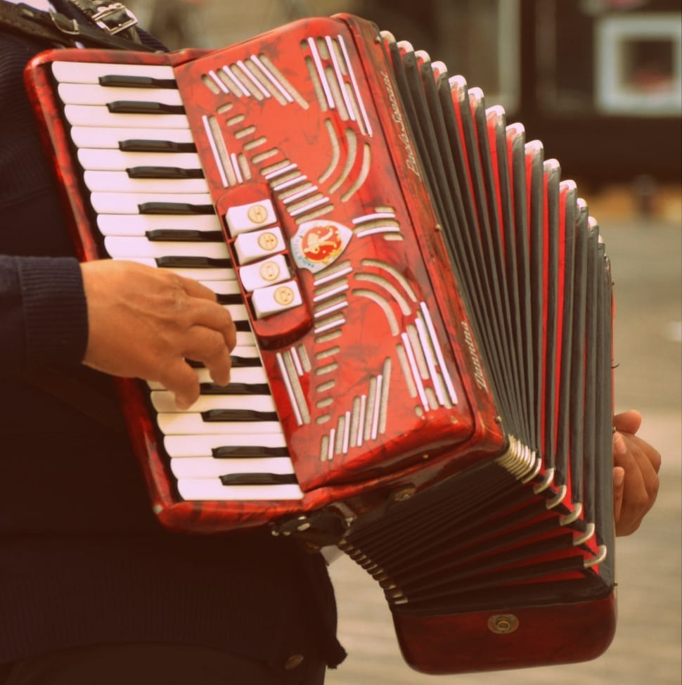 red black and white accordion preview
