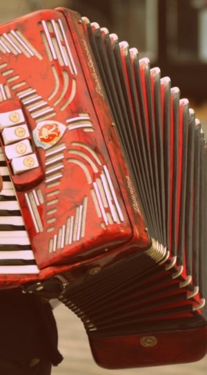 red black and white accordion thumbnail