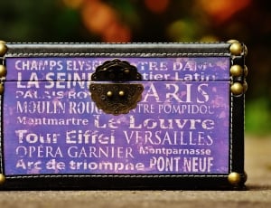 black and purple Champs Elys box thumbnail