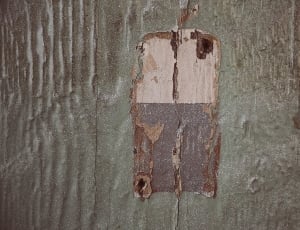 gray and white wooden board thumbnail