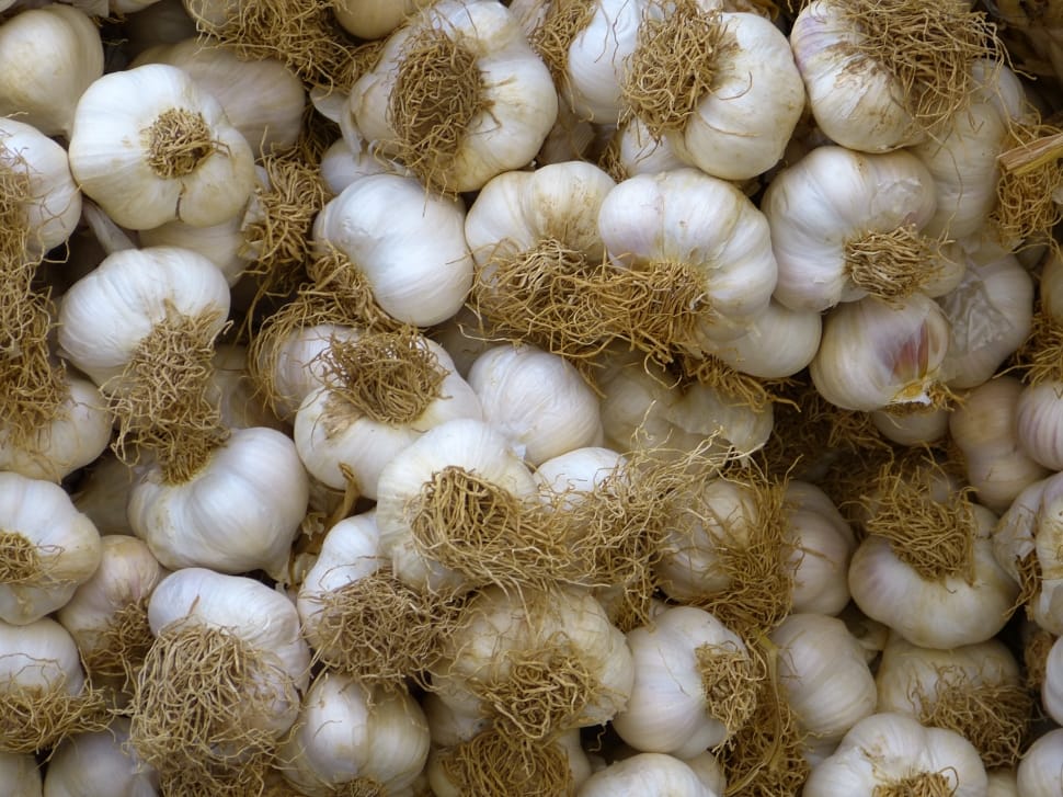 white garlic lot preview