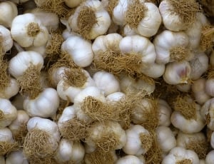 white garlic lot thumbnail