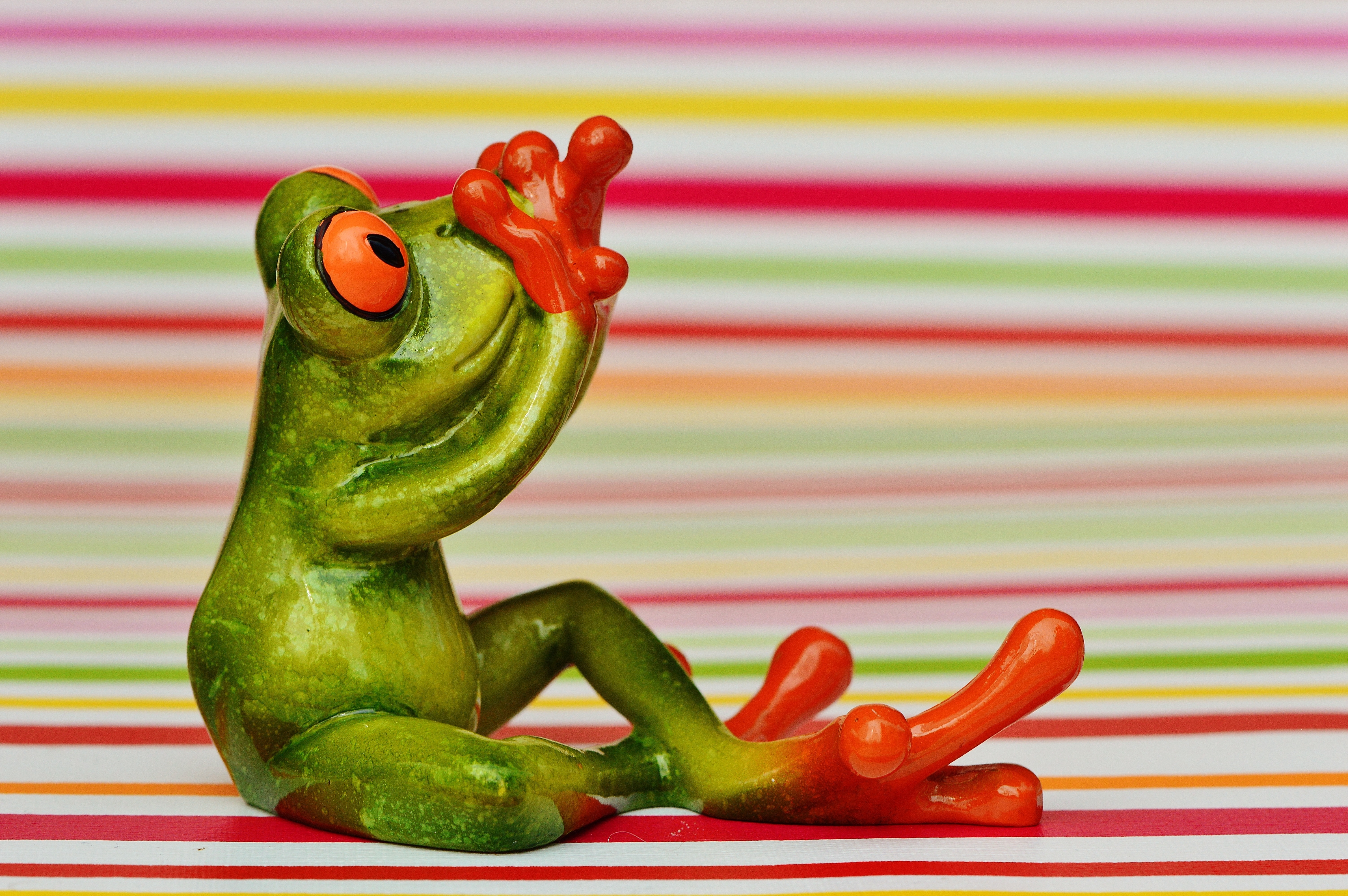 Frog, Scared, Fig, Do Not Speak, Fear, vegetable, food and drink