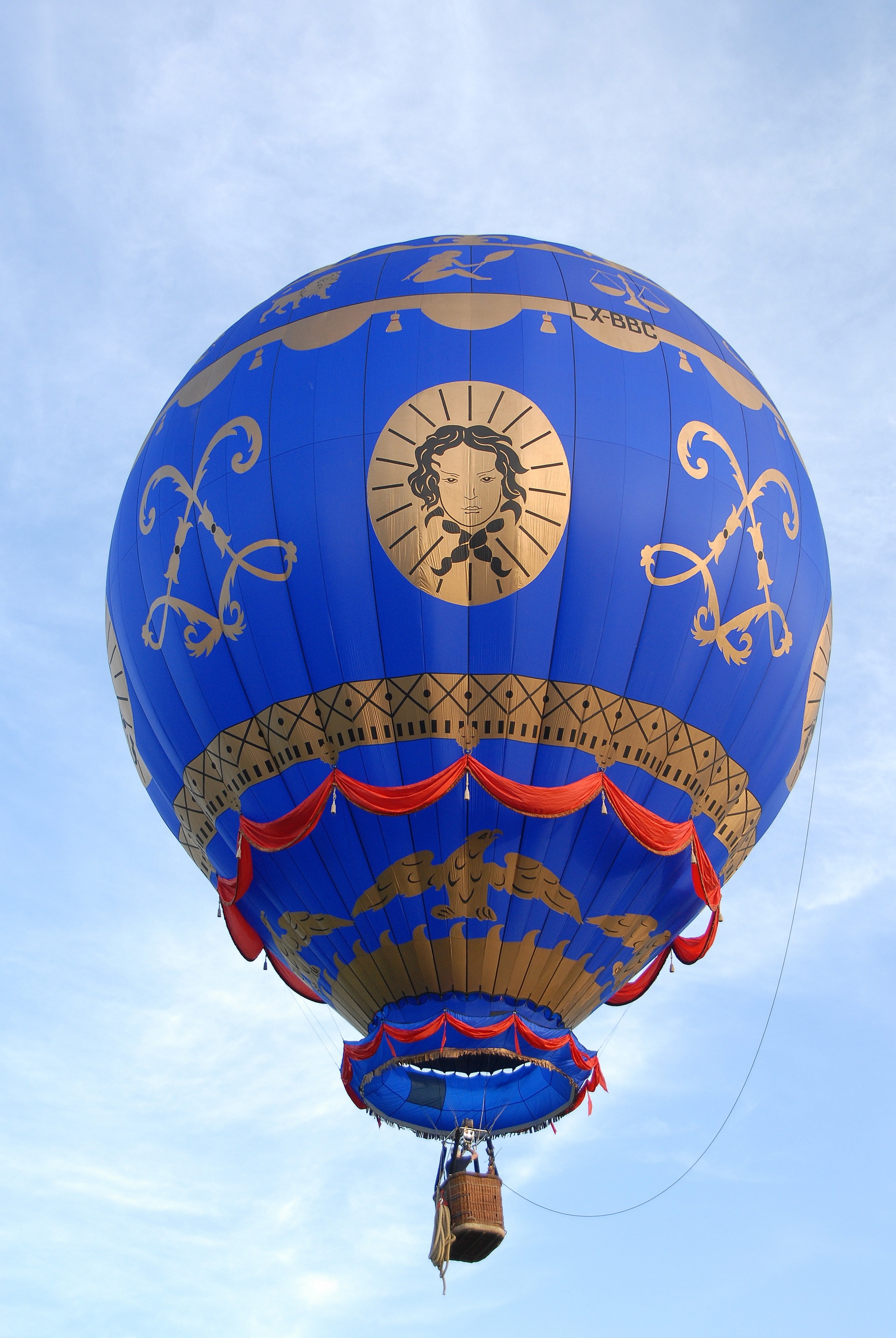 blue and brown hot air balloon