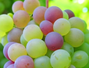 green and red grapes thumbnail