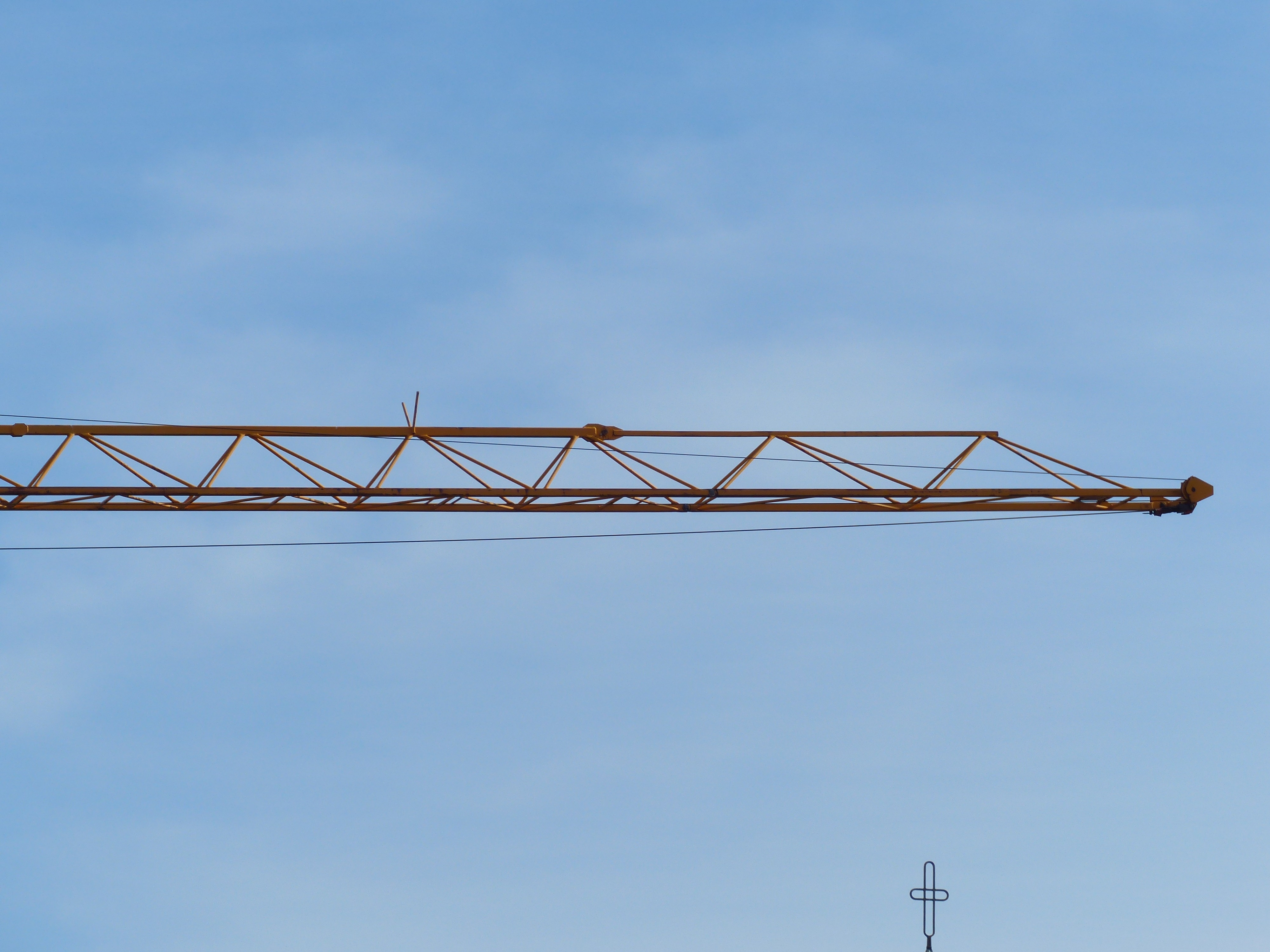 close photo of crane