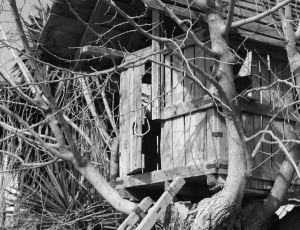 grey scale photography of tree-house thumbnail