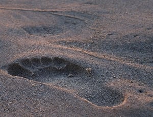 right foot print on a sand thumbnail
