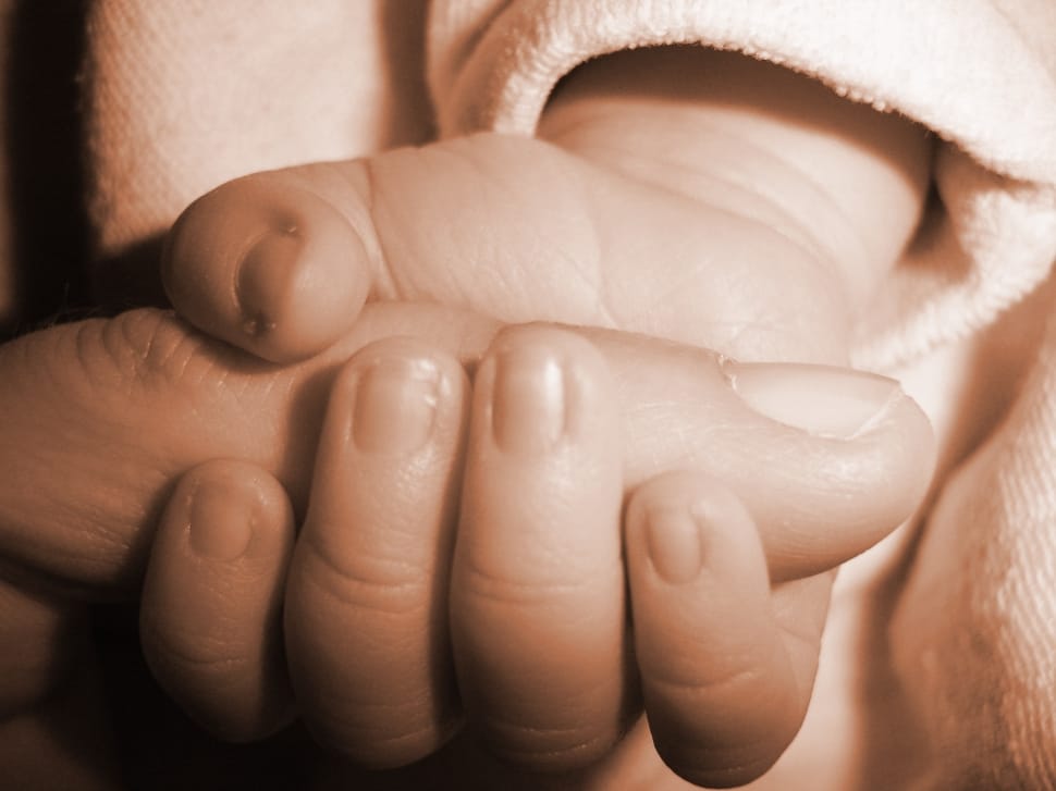 child holding human thumb in close up photography preview