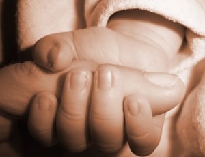 child holding human thumb in close up photography thumbnail