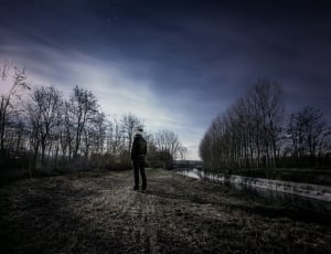 person in black jacket and jeans standing beside leafless trees thumbnail