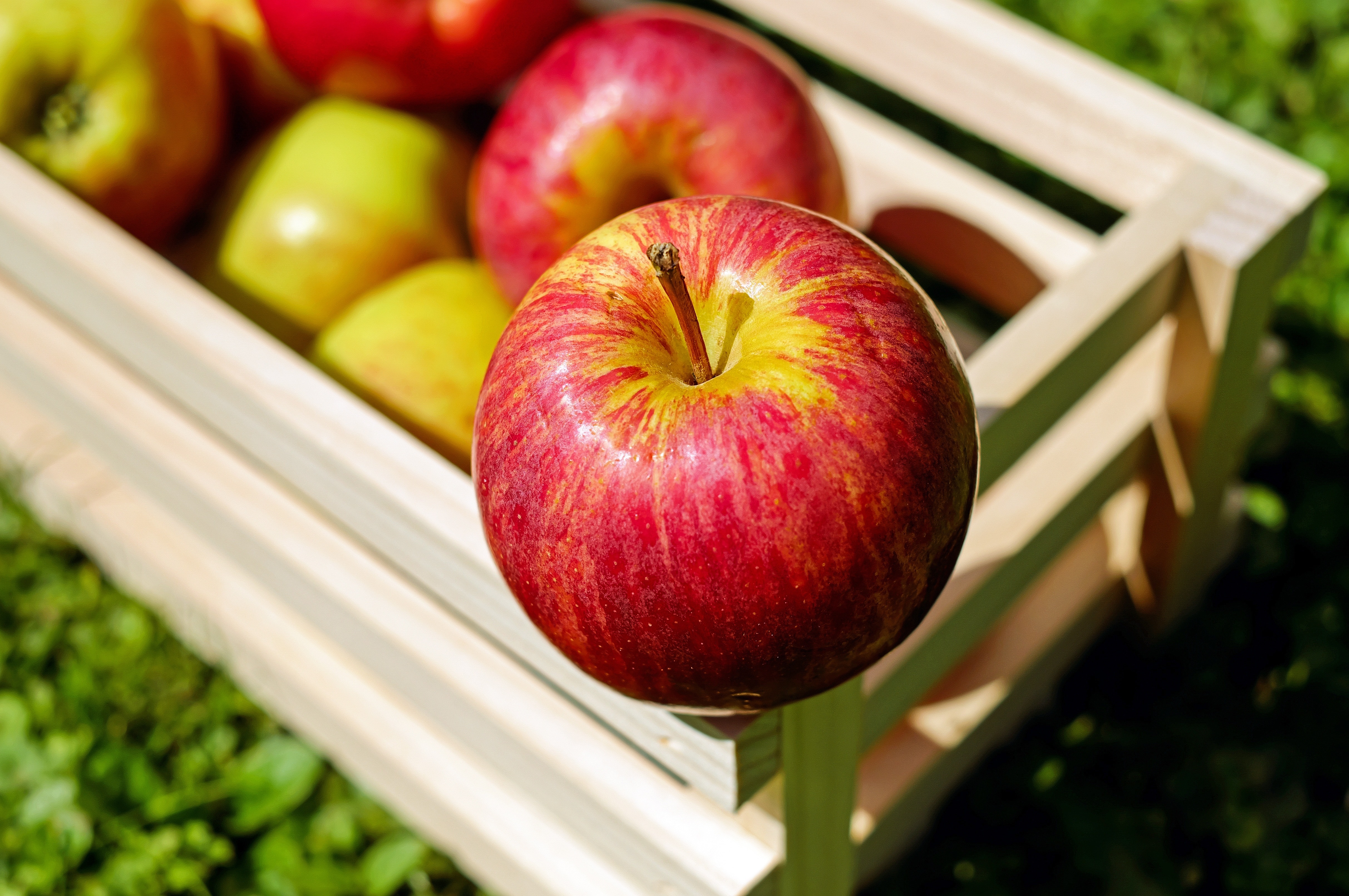 Download Red And Yellow Apple Fruit Free Image Peakpx Yellowimages Mockups