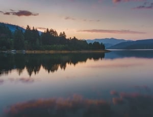 landscape photography of trees near body of water during golden hour thumbnail