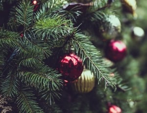 christmas tree with christmas ornaments thumbnail
