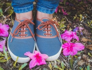blue and brown low top sneakers thumbnail